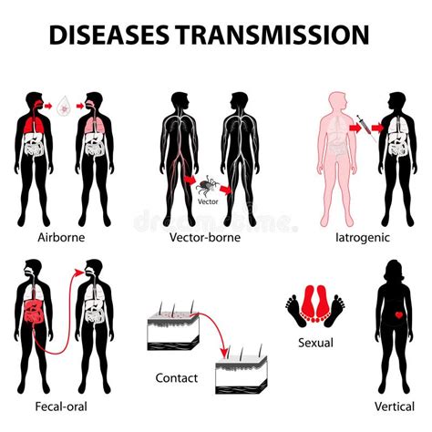 Disease Transmission Stock Vector - Image: 66965266