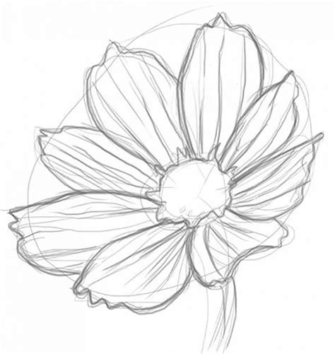 Realistic Rose Drawing at GetDrawings | Free download