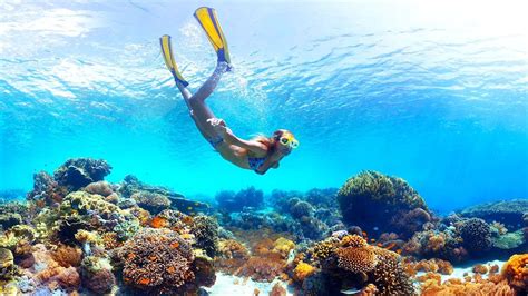 Best Moorea Snorkeling. #snorkeling #moorea | Best snorkeling, Travel ...