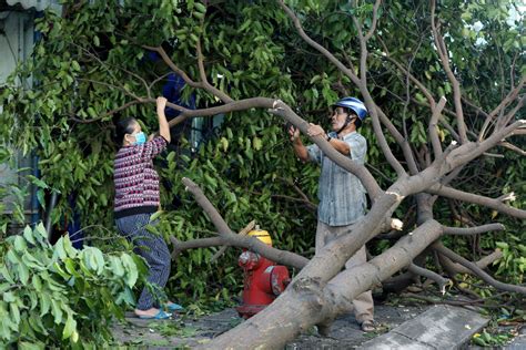 In Pictures: Ferocious Typhoon Molave smashes through Vietnam | Weather ...