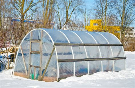 Using An Unheated Greenhouse – Can Plants Survive An Unheated ...