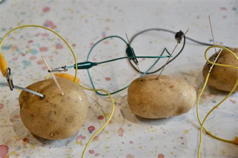 Potato Light Bulb Science Fair Project | Shelly Lighting