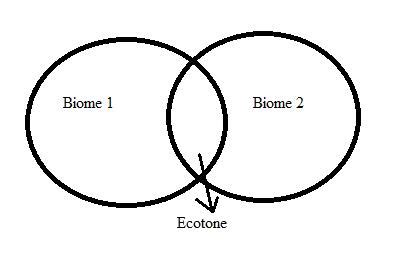 what is ecotone - Biology - Ecosystem - 3469653 | Meritnation.com