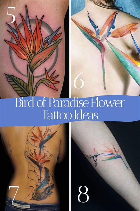 67 Colorful Bird of Paradise Flower Tattoo Designs - Tattoo Glee