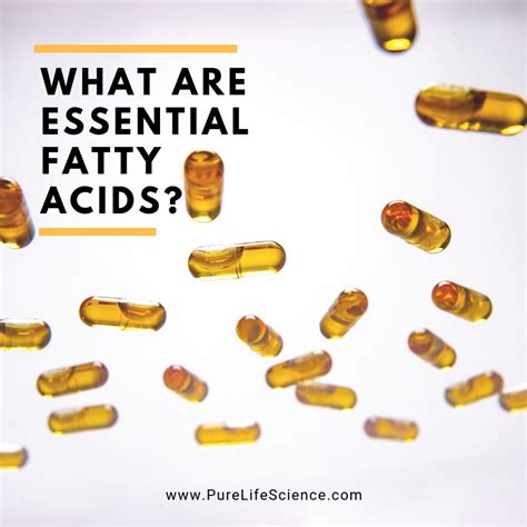 What are Essential Fatty Acids? | Pure Life Science