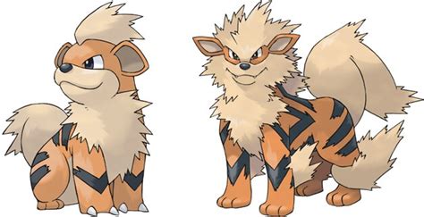 Arcanine Evolution Chart