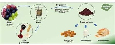 Grape Pomace As A Sustainable Source Of Bioactive, 55% OFF