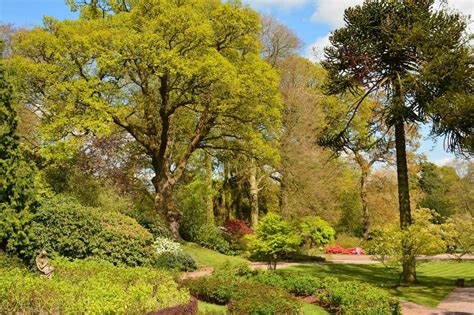 Hodnet Hall Gardens - Shropshire Tourism & Leisure Guide