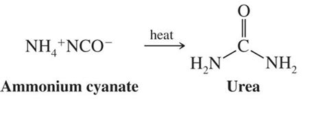 organic chemistry - Was Wöhler’s urea synthesis carried out with or ...