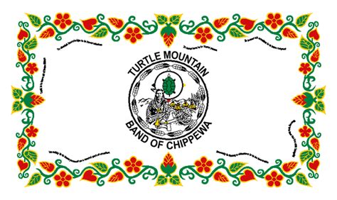 Turtle Mountain Band of Chippewa Flag | 3x5ft outdoor Native American ...