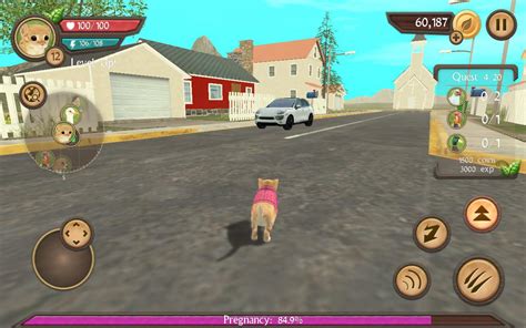 Cat Sim Online: Play with Cats - Android Apps on Google Play