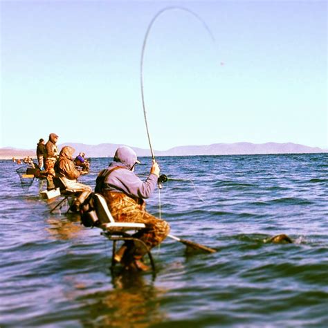 Northern Sierra Fly Fishing: Pyramid Lake/Truckee River Report