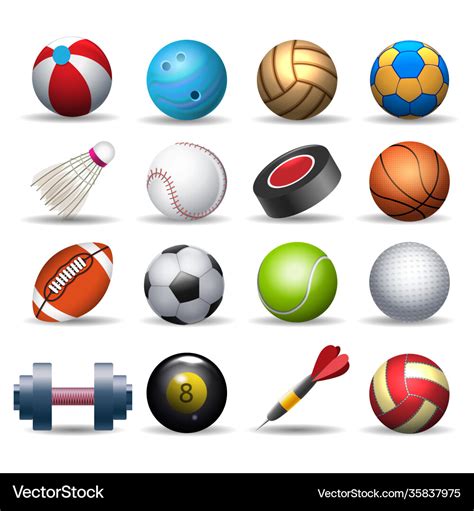 Sports equipment pack Royalty Free Vector Image