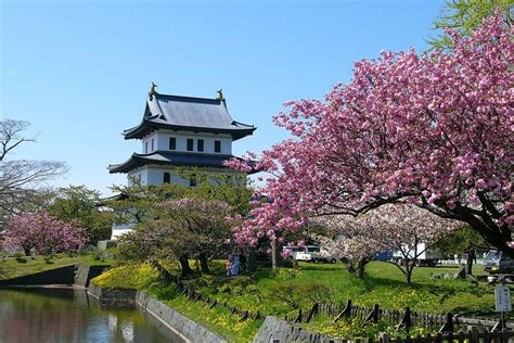 Cherry Blossom in Hokkaido - Topics - Japan Travel