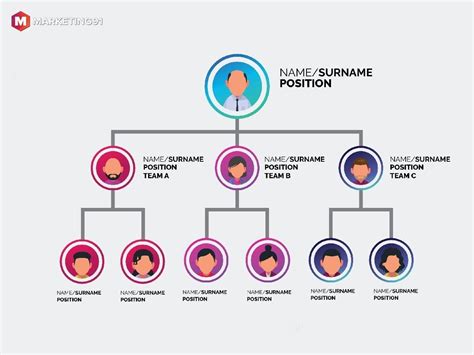 What Are Disadvantages Of Functional Organizations - cloudshareinfo