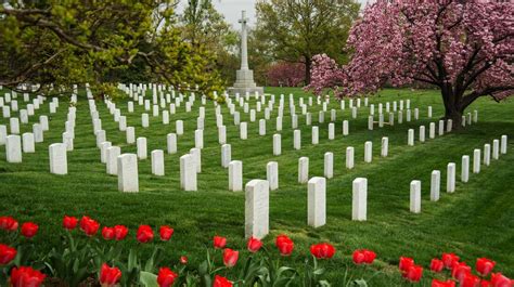 Arlington Cemetery's Grave Sites Now Searchable Online : The Two-Way : NPR