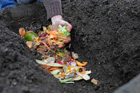 How To Make a Composting Trench - BBC Gardeners World Magazine