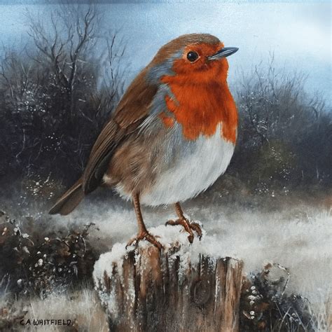 Robin in the Snow – Baron Fine Art