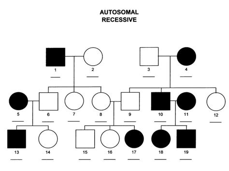 Pedigree: a family tree with the history of a family trait showed ...