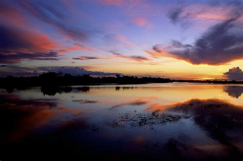 Jaú National Park - Brazilië - TravelNature.nl