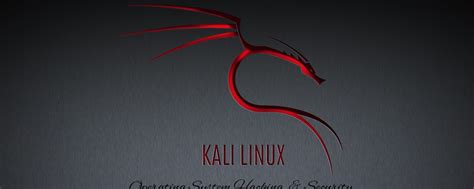 Kali Linux Wallpaper 1920x1080 - WallpaperSafari