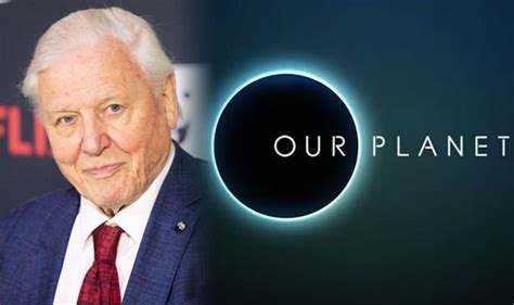 David Attenborough Our Planet Viewers hooked as Netflix debuts trailer ...