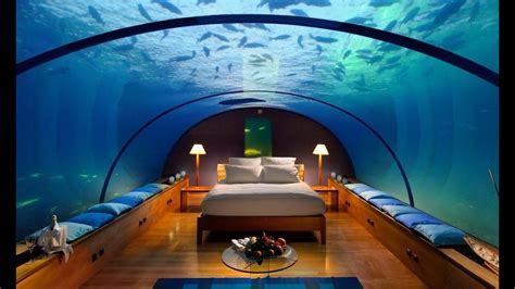 Does Bill Gates House Have An Aquarium - Aquarium Views