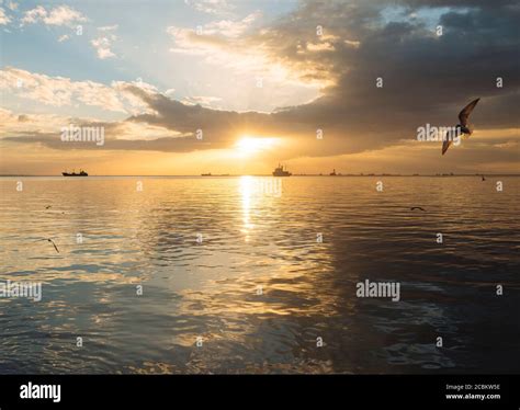 Baywalk at sunset, Roxas Boulevard, Manila, Philippines Stock Photo - Alamy