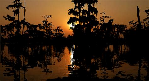 Download Sunset, Nature, Bayou. Royalty-Free Stock Illustration Image ...