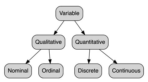 Quantitative And Categorical Variables | Sparkhouse