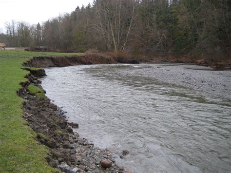 Streambank Erosion — Snohomish Conservation District