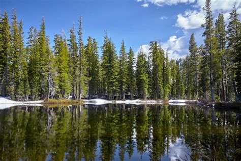 North Lake Tahoe Hiking Trails: Five Lakes