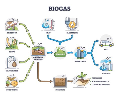 Contoh Energi Biomassa, Kelebihan dan Kekurangannya