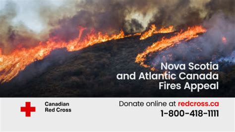 Uncontainable wildfires continue to ravage Canada with no end in sight