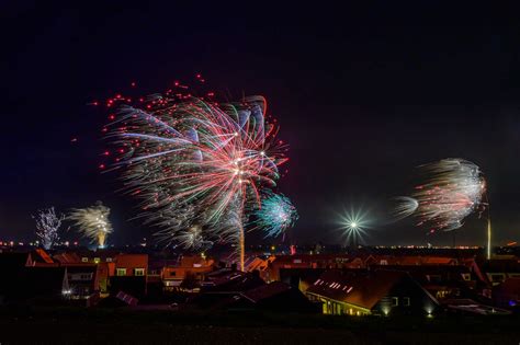 New Year’s Eve fireworks aren’t for the birds - The Wildlife Society