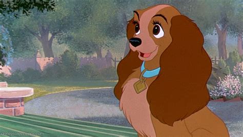 Lady | The lady and the tramp Wiki | Fandom