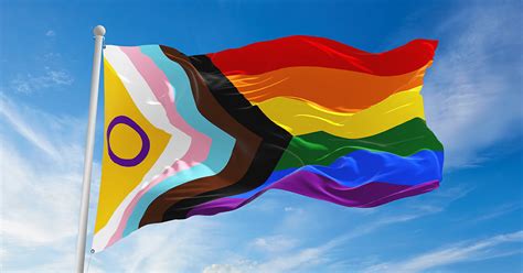 Why is there controversy over the Progressive Pride Flag? - MambaOnline ...