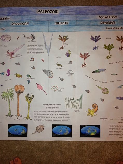 The Reasons of Things: Montessori Upper Elementary: The Timeline of ...