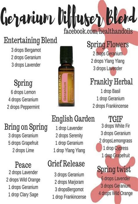 Geranium Diffuser Blends | Geranium diffuser blend, Essential oil ...