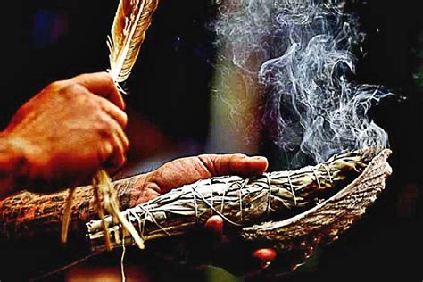 The Science Of Smudging - How Sage Actually Cleans Bacteria In The Air ...