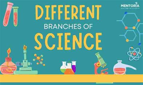 Different Branches of Science - Mentoria