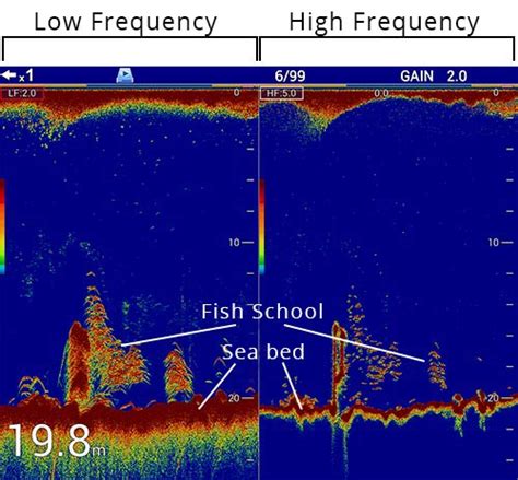 How to read Sonar image | Sonar Basics | FURUNO Technology | FURUNO