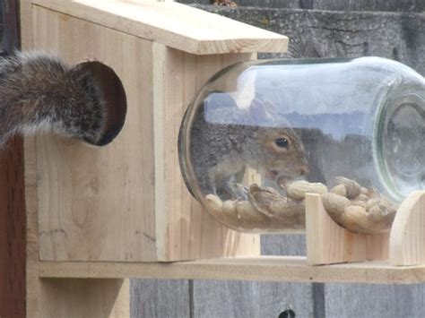 Squirrel Feeder of Solid Cedar with vintage gallon jar