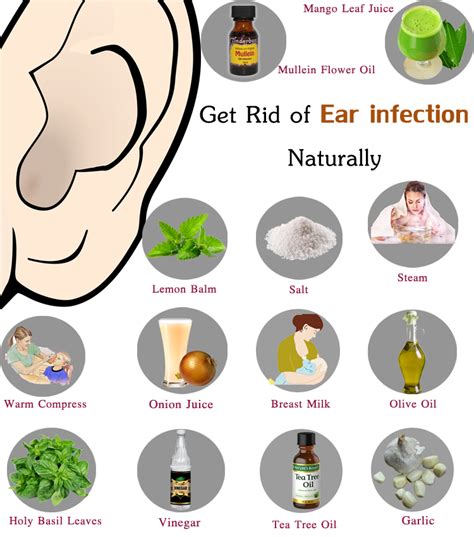 Ear Infection Baby Homeopathy at evaddouglaso blog