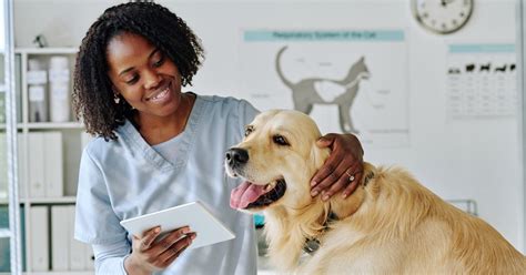 The 4 types of Veterinarians - Steves Real Food