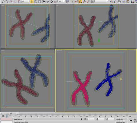 Chromosome 3D Model .max - CGTrader.com