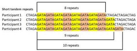 9-3 DNA Typing with Tandem Repeats - SANDERSSCIENCE