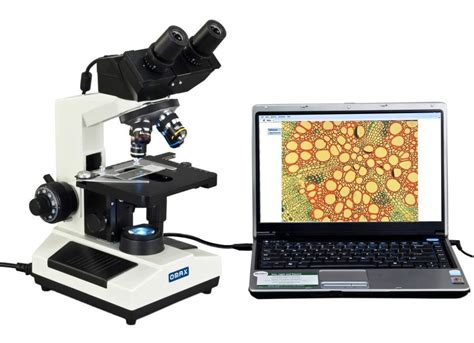 5 Best Digital Microscopes (Reviews Updated 2020) - GigOptix