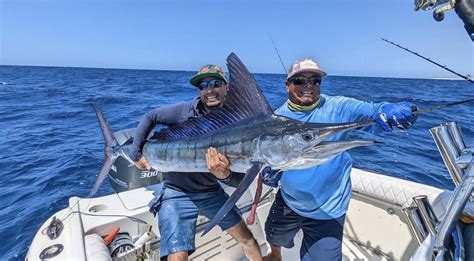 The Top 7 Marlin Fishing Spots Worldwide - Tag Cabo Sportfishing