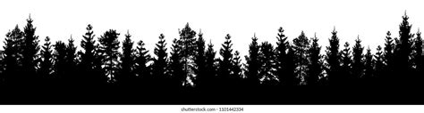 Seamless Forest Vector Landscape Coniferous Trees Stock Vector (Royalty ...